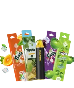 พอตใช้แล้วทิ้ง vmc-5000-puffs.