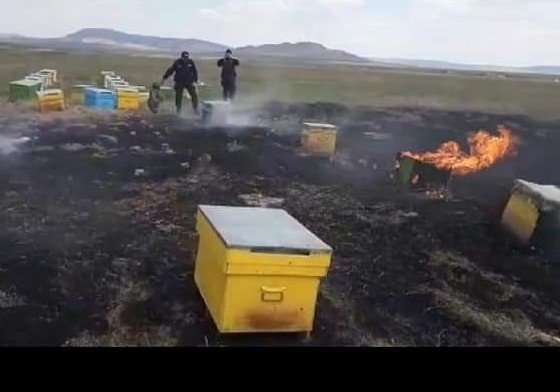 FB IMG 1555778849566