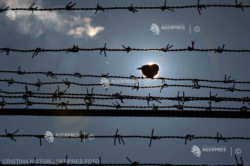 Un deţinut de la Penitenciarul Tulcea a evadat lucra în