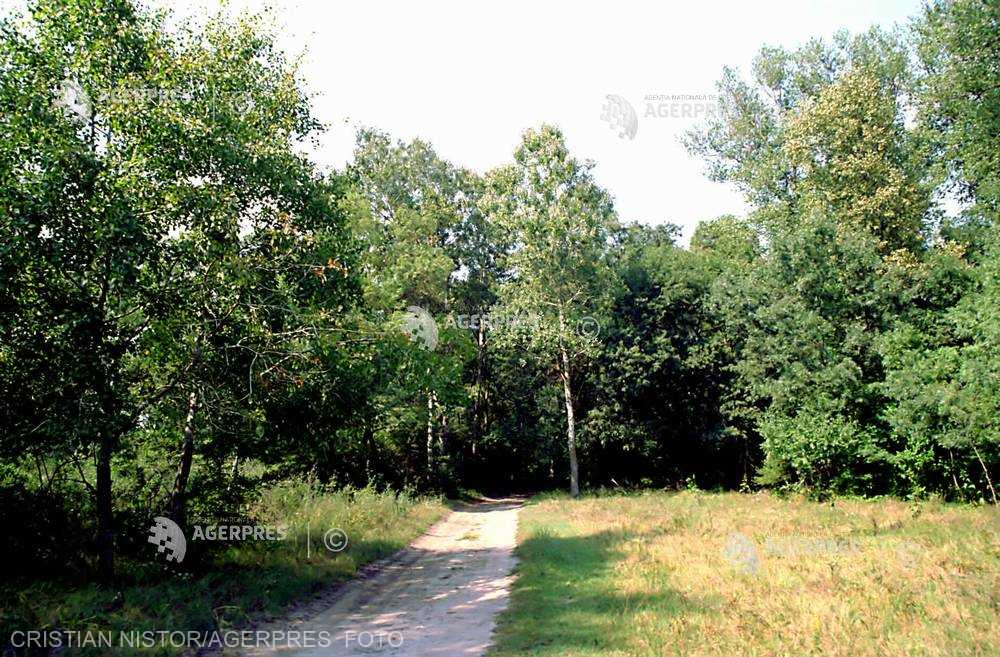 Tulcea Taxa de acces în Pădurea Letea se poate plăti