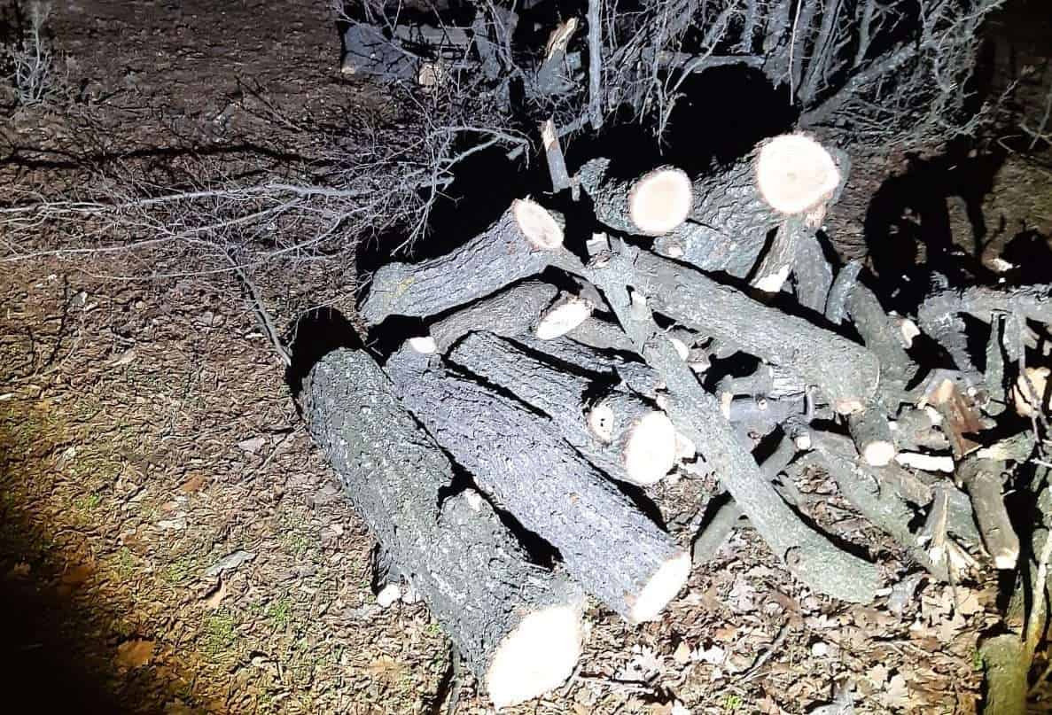 tulcea pompi e1582026140887