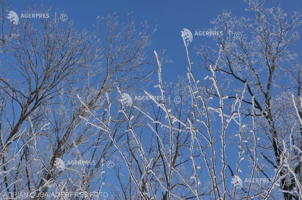 Informare Meteo Intensificari Ale Vantului In Mare Parte Din Tara.jpeg