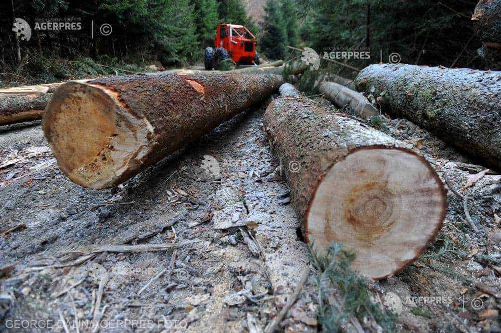 Mures Perchezitii In 5 Judete La Persoane Banuite De Ilegalitati.jpeg