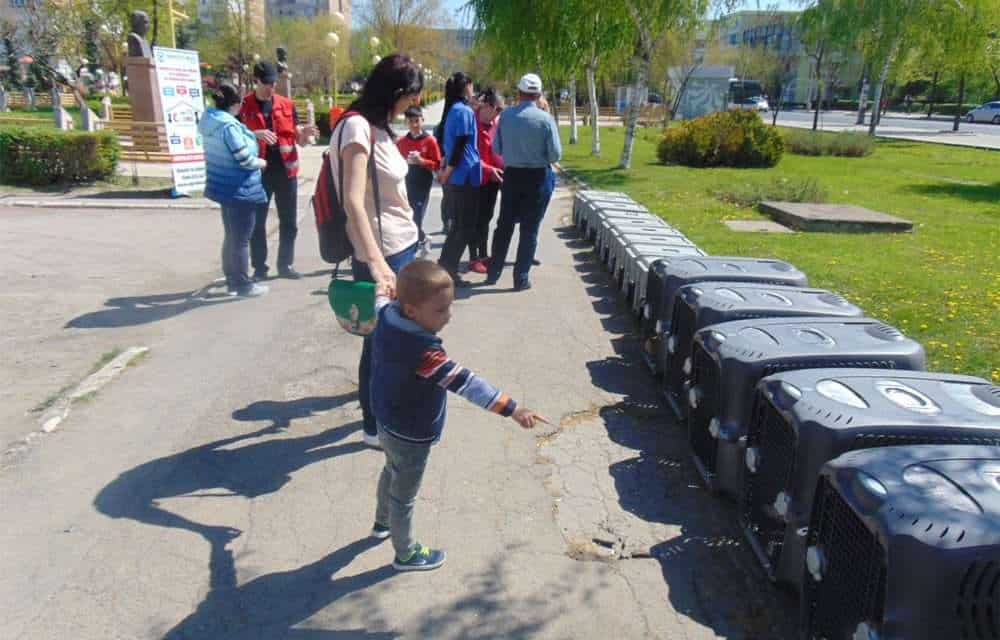 Targ de adoptii 1000x640 1