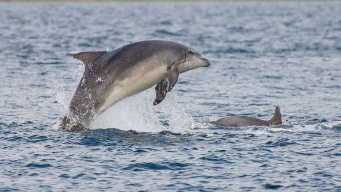 129fcdf9 0952 482f 9ef5 a6e7b1982c64