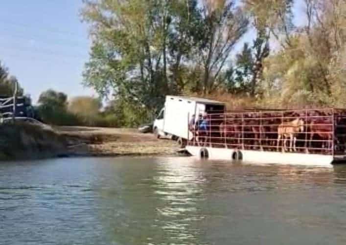 WhatsApp Image 2022 12 12 at 11.04.35 e1670842749560