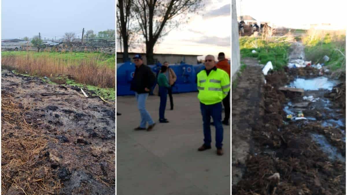 primar acuzat batut sechestrat comisari garda de mediu control ferma fiu tulcea 830679.jpg