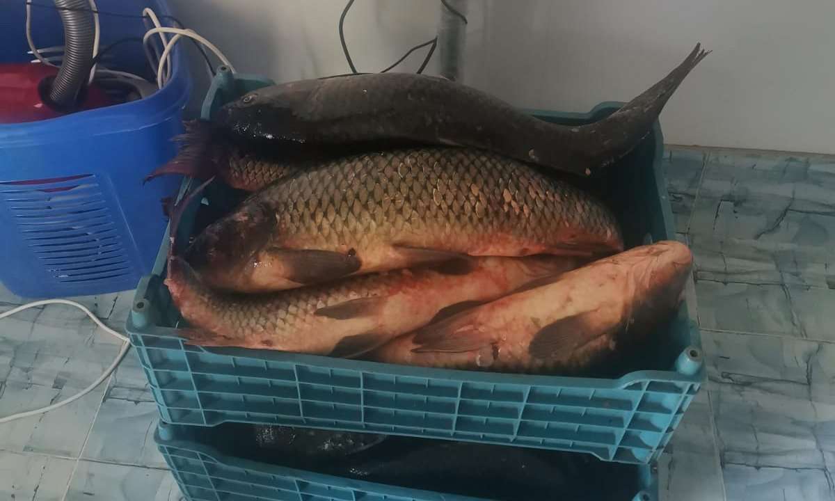 peste braconat foto garda de coasta.jpeg