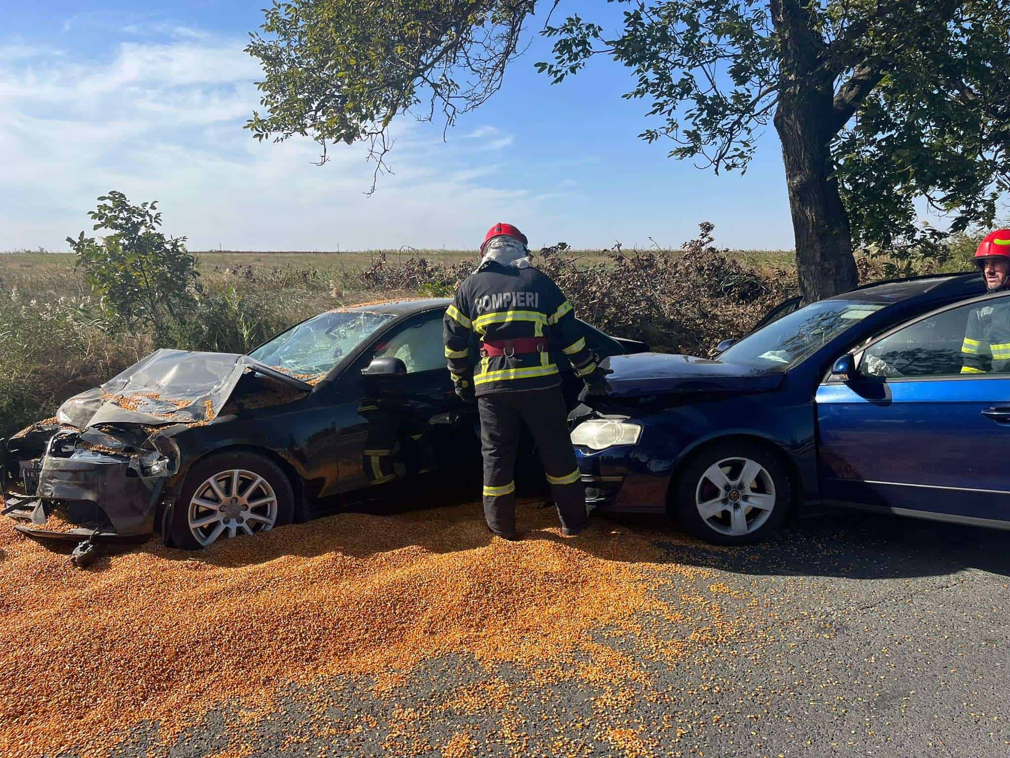 WhatsApp Image 2023 09 28 at 15.43.41