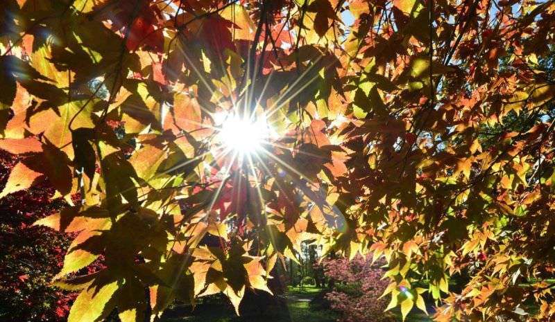 vremea in septembrie 2016.jpg