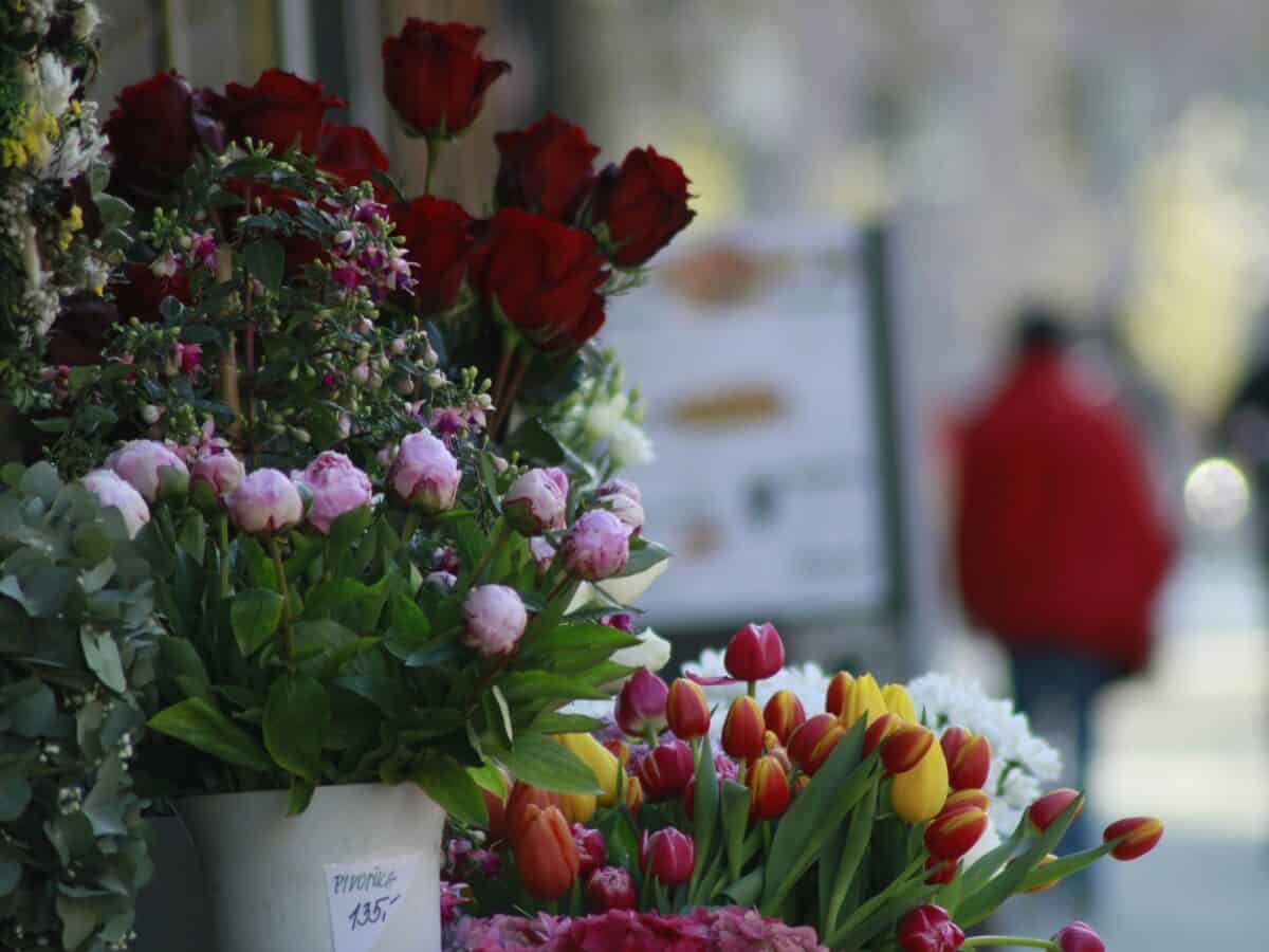 Primăria Tulcea scoate la licitație două chioșcuri pentru flori în zone centrale ale orașului