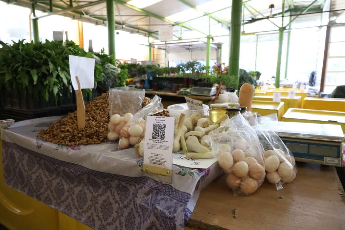 piata agro primaria tl