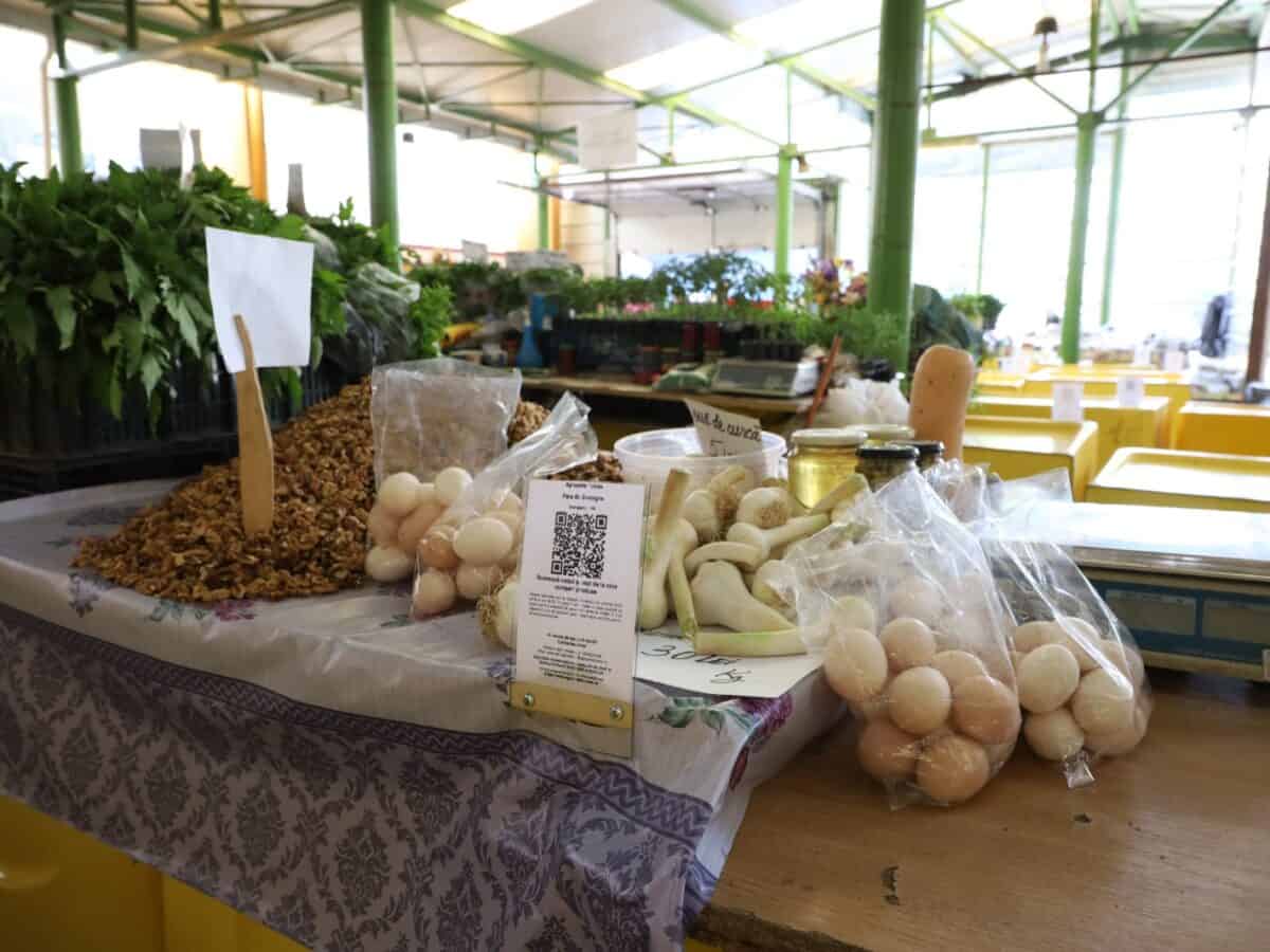 piata agro primaria tl