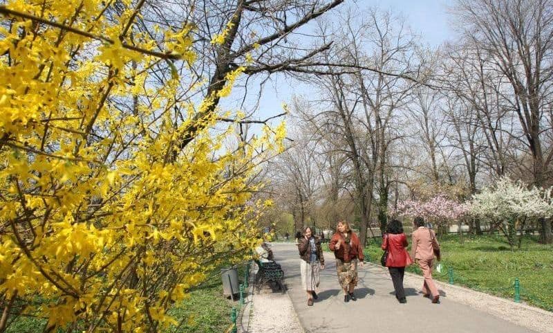 Primăvara începe cu temperaturi normale și precipitații variabile în întreaga țară