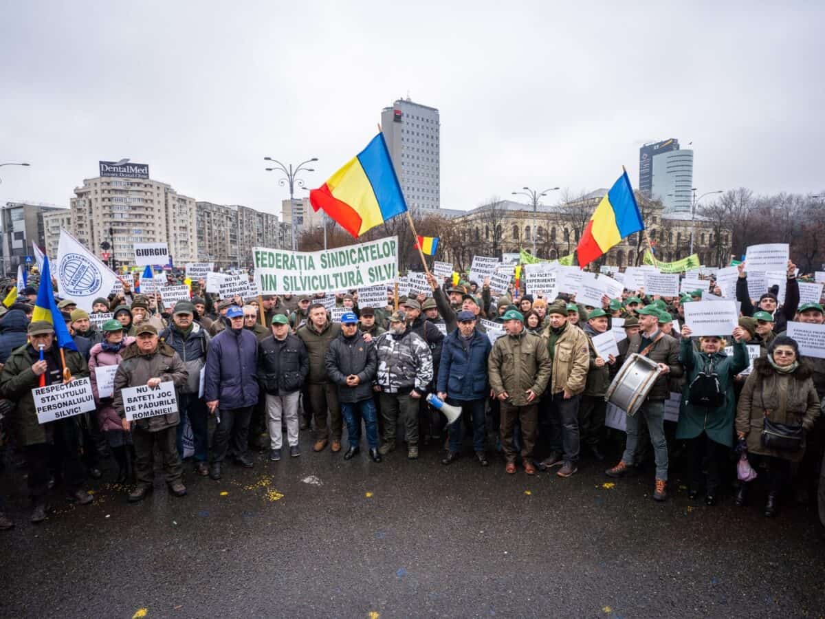 Silvicultorii protestează în Piaţa Victoriei împotriva tăierii salariilor și drepturilor lor