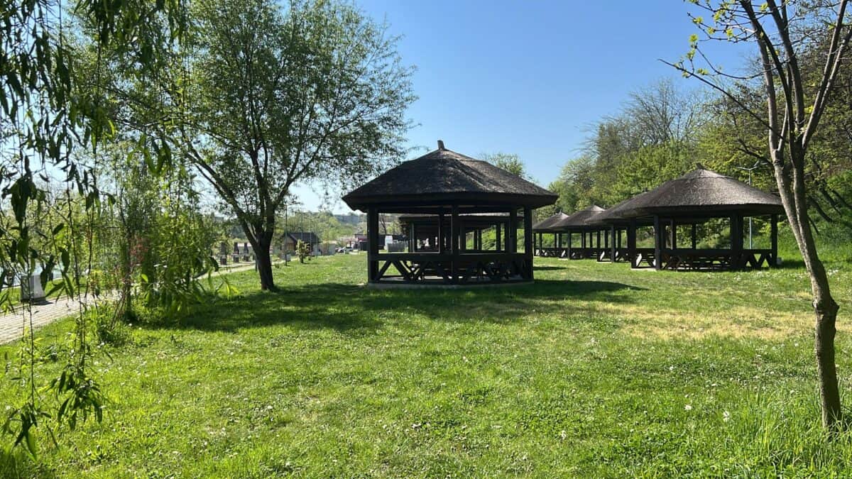 foto foisor Ciuperca