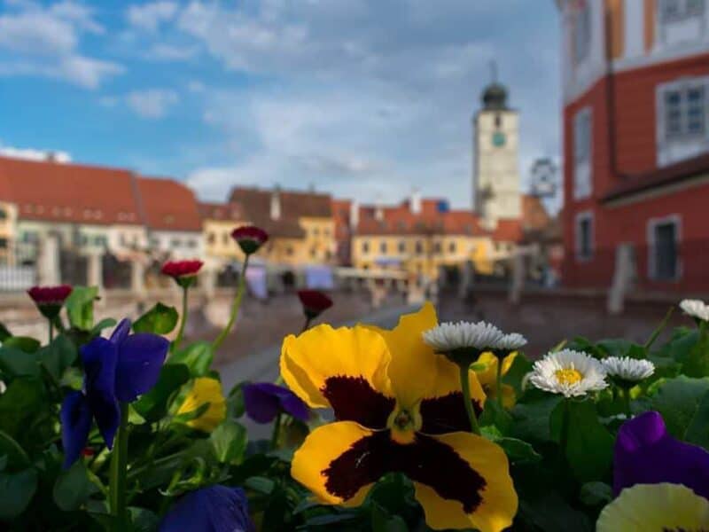 Temperaturi apropiate de normal și precipitații deficitar pe aproape tot teritoriul României