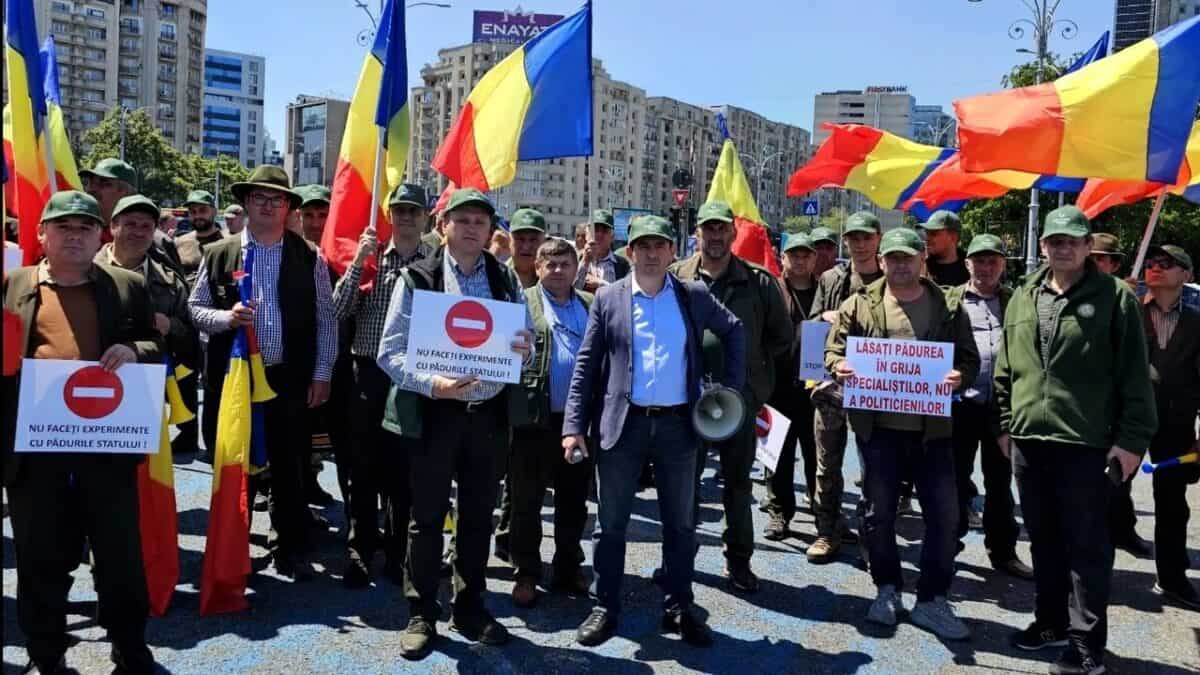 Federația SILVA anunță miting de protest pentru salvarea patrimoniului forestier național