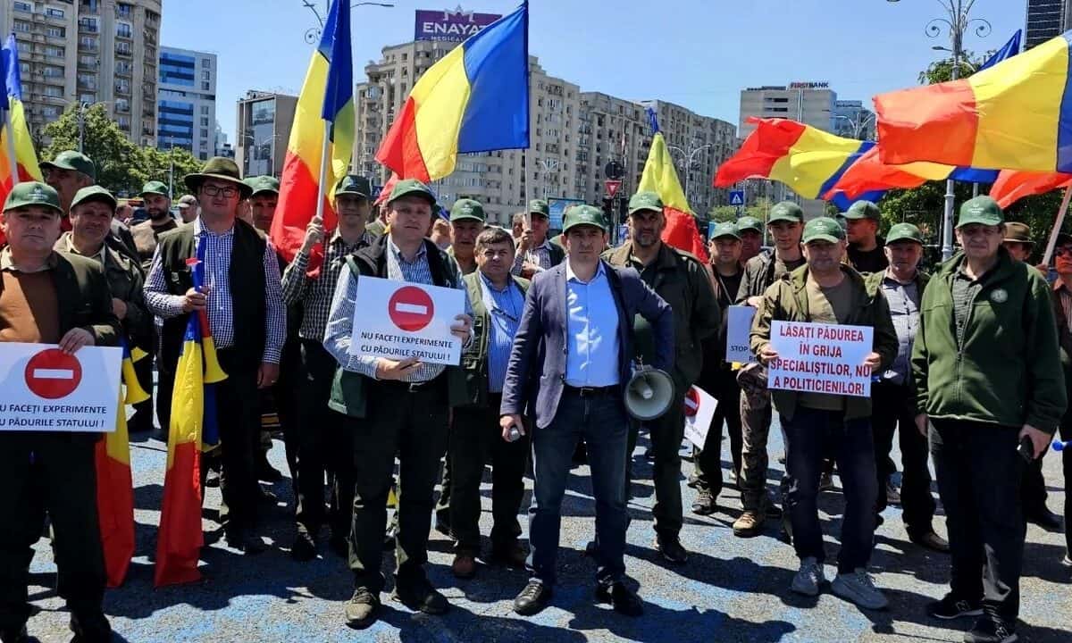 Federația SILVA anunță miting de protest pentru salvarea patrimoniului forestier național