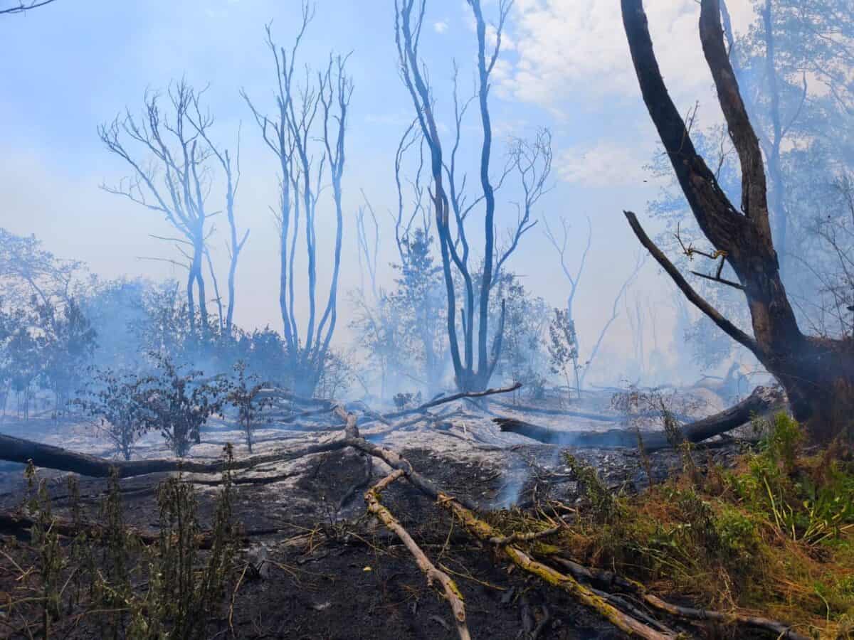 incendiu chilia deschidere