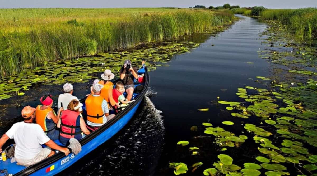 delta dunarii accespermise