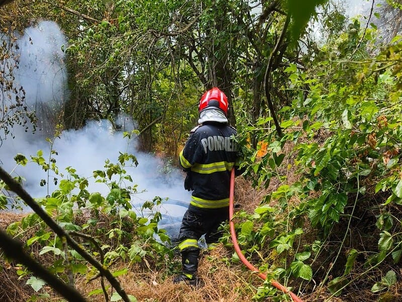 incendiu delta edited