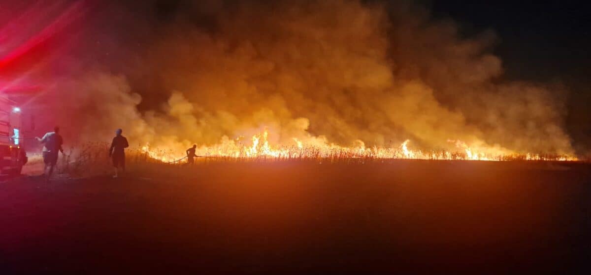 incendiu salcioara 2