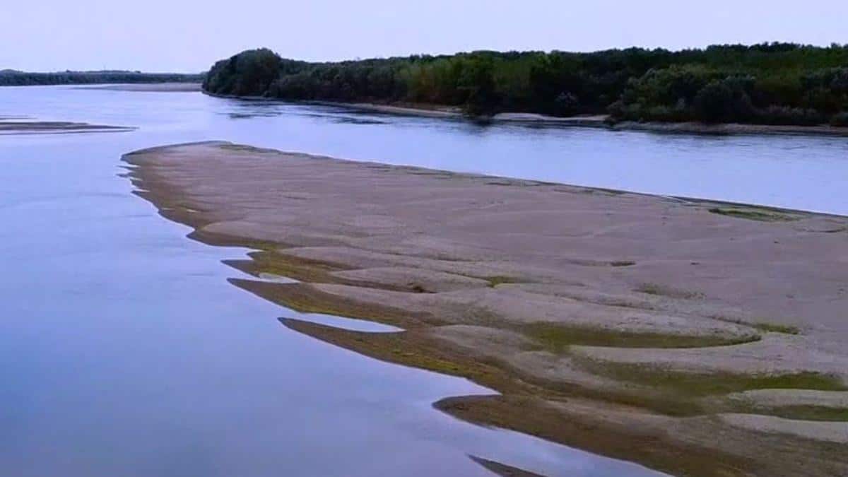 dunare cel mai mic nivel ultimii 100 ani zimnicea seceta continua 786584