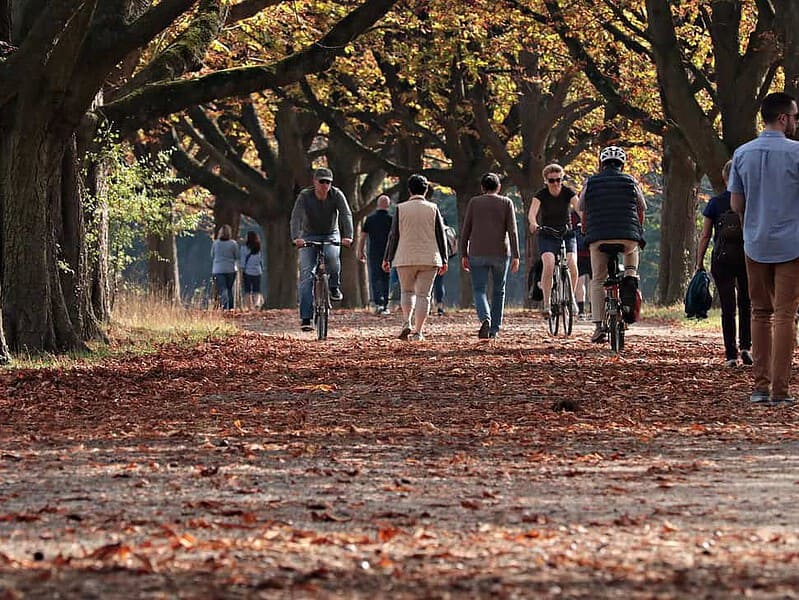Toamna astronomică începe pe 22 septembrie cu echinocțiul de toamnă