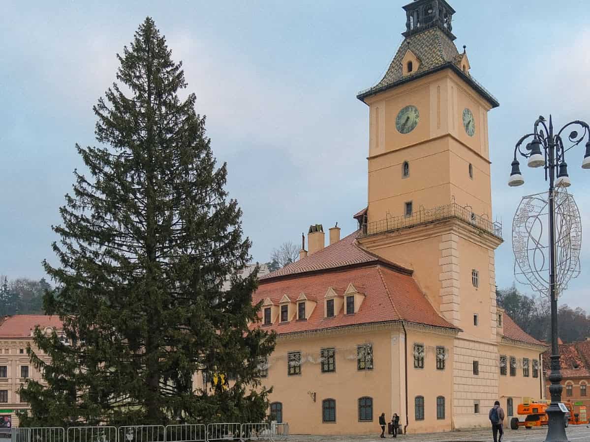 Brașov își sărbătorește Crăciunul cu un brad impresionant de 31 de metri din Poiana Brașov