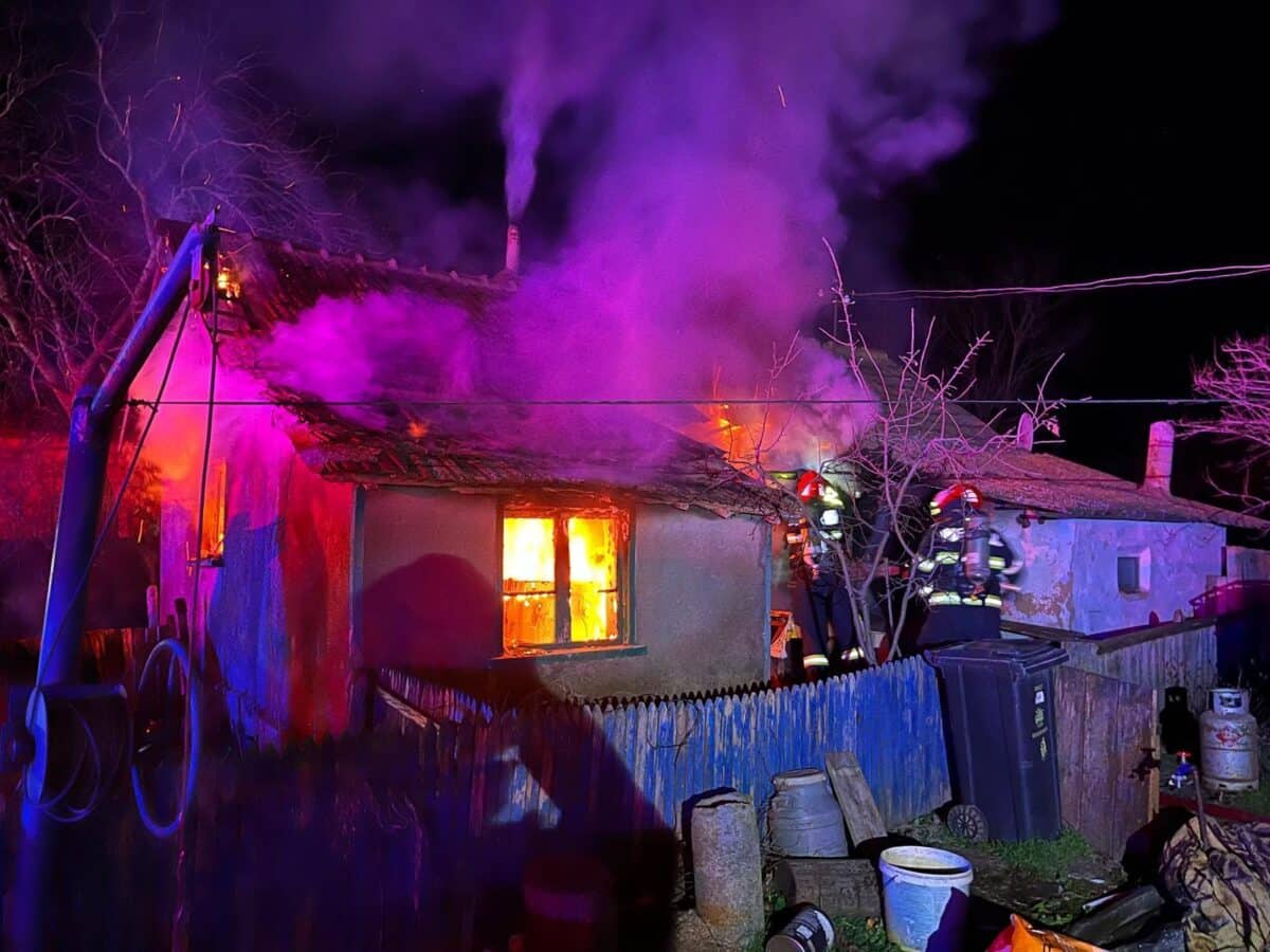 frecatei batran mort