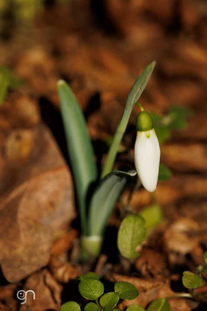 605536697 1312891234205929 6309004050183301991 n