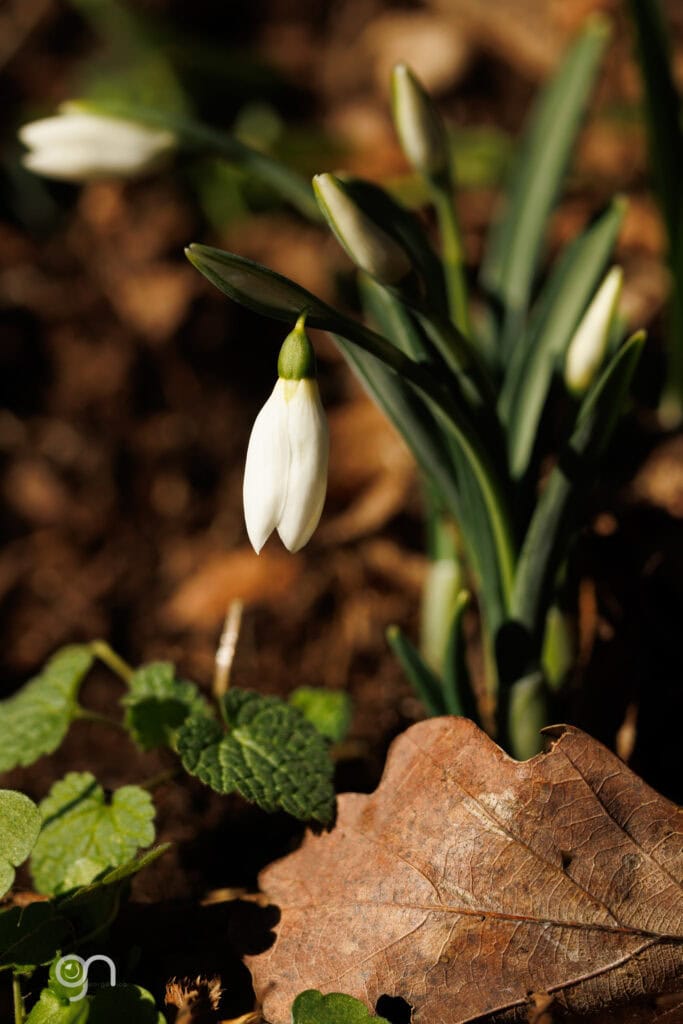 605965018 1312891370872582 3900817255770448884 n