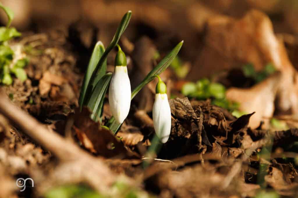 607597151 1312891364205916 5174248994669075438 n