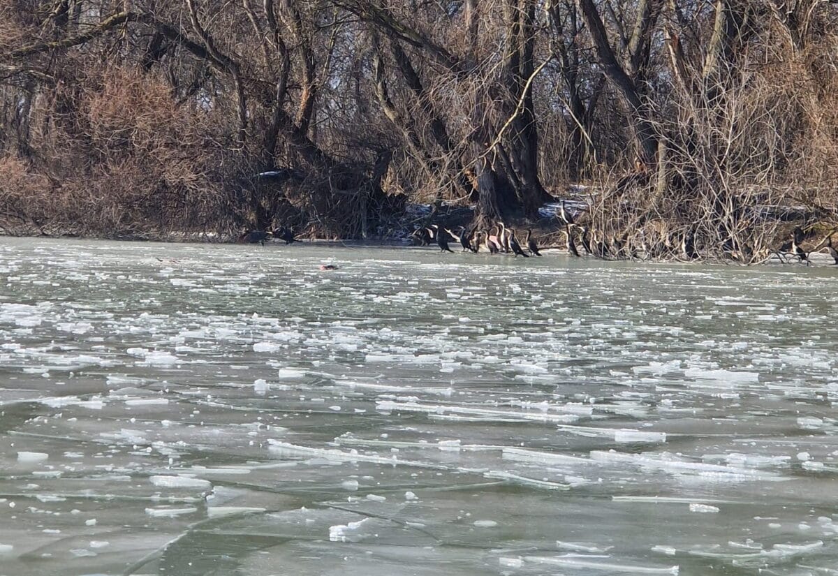 616823910 1291500169675934 2124666079000378465 n 1