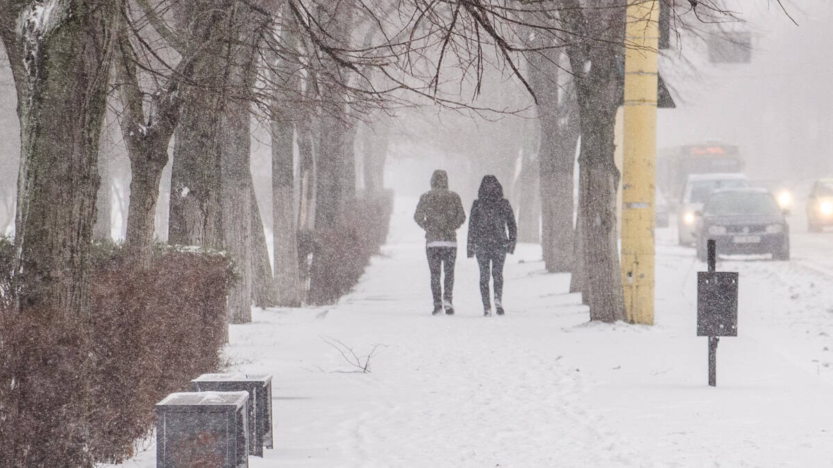 oameni pe strada iarna zapada viscol 1