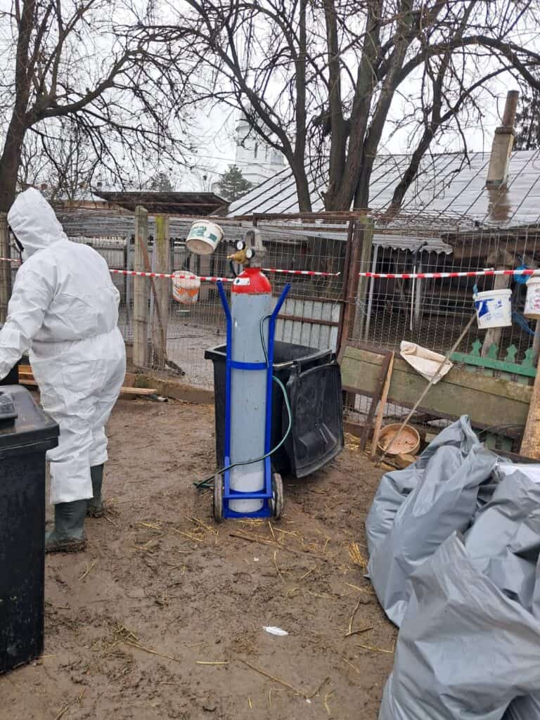 628354161 122121802983057062 5530137143465639224 n