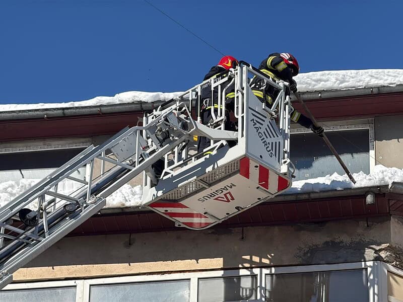 WhatsApp Image 2026 02 19 at 14.14.16