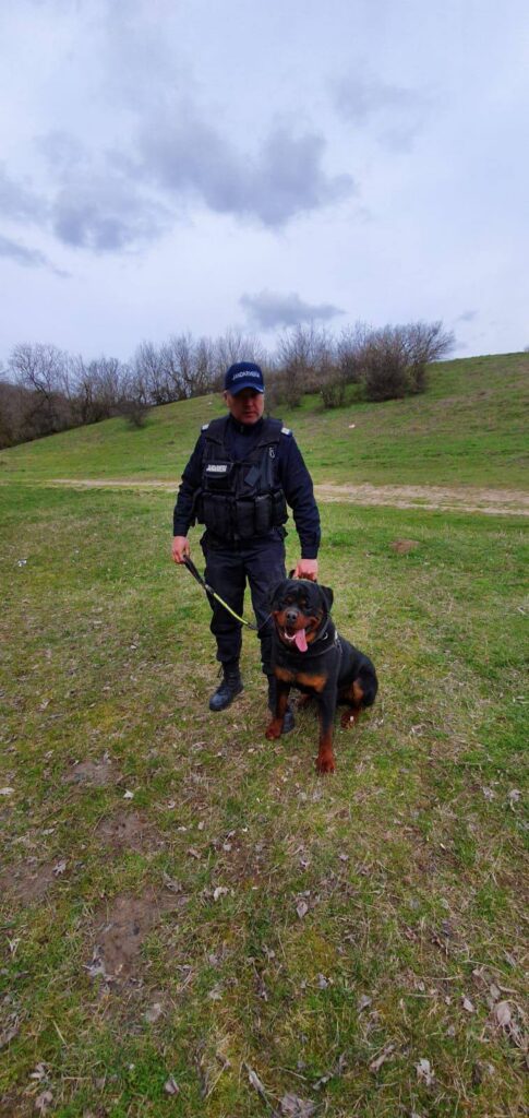 650148858 1260783949515603 453109795894297803 n