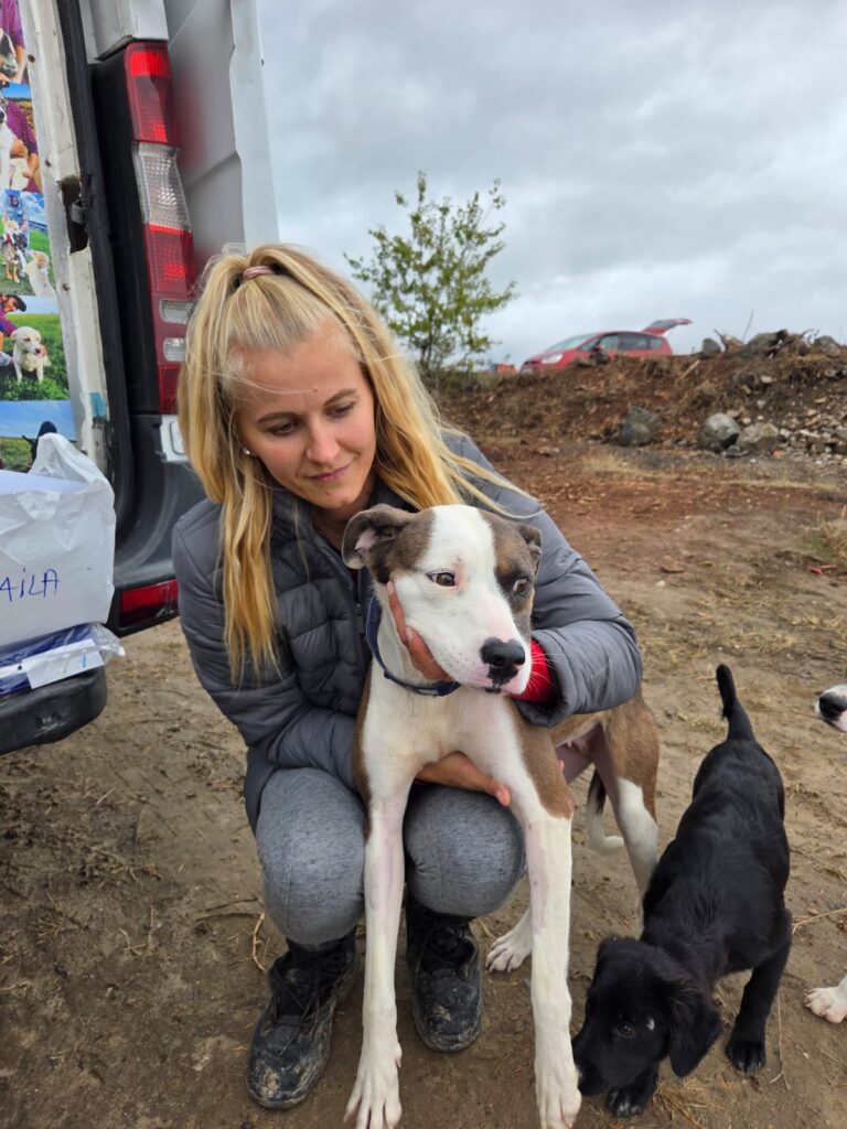 WhatsApp Image 2026 03 10 at 14.48.17 1