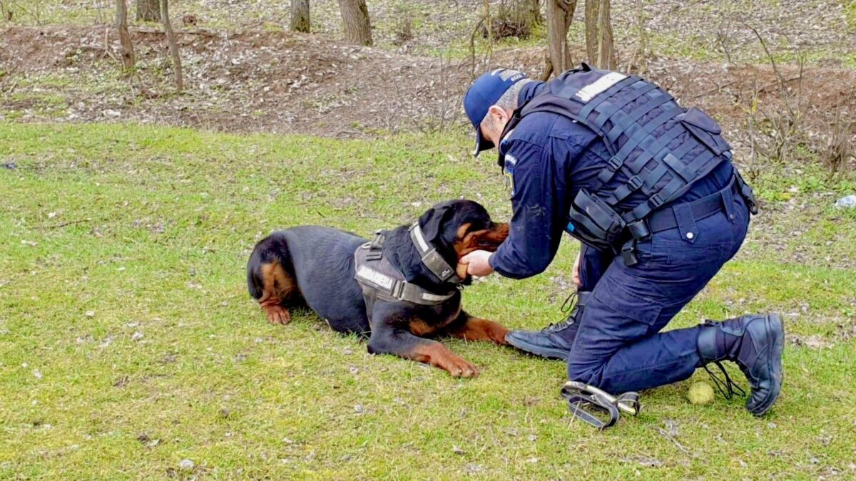 WhatsApp Image 2026 03 16 at 16.16.05