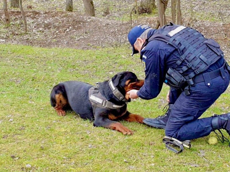 WhatsApp Image 2026 03 16 at 16.16.05