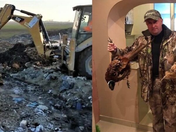 Scandalul „cimitirului de animale” din Dobrogea se închide fără vinovați: afaceristul condamnat la 4 ani scapă prin prescripție