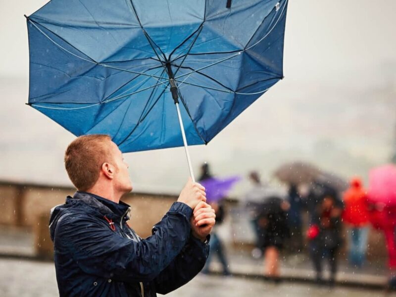 Cod galben de vânt în Dobrogea și sudul Moldovei cu rafale de până la 80 km/h