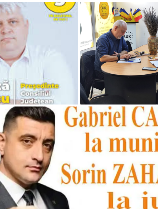 AUR își execută ‘rebeliunea’: un consilier a pierdut deja în instanță, doi încă se judecă după ce au fost excluși… prin poștă