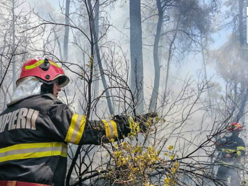 Pericol odată cu încălzirea vremii: incendiile de vegetație pot pune în pericol locuințe și păduri