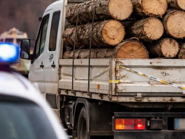 Bărbat prins cu lemn fără acte pe drumurile din Tulcea. Poliția i-a confiscat marfa