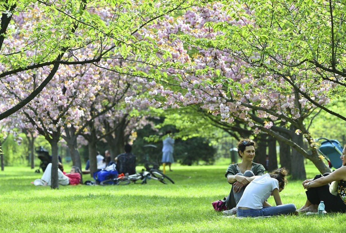 Meteorologii anunță vreme normală pentru Paște în România în 2026