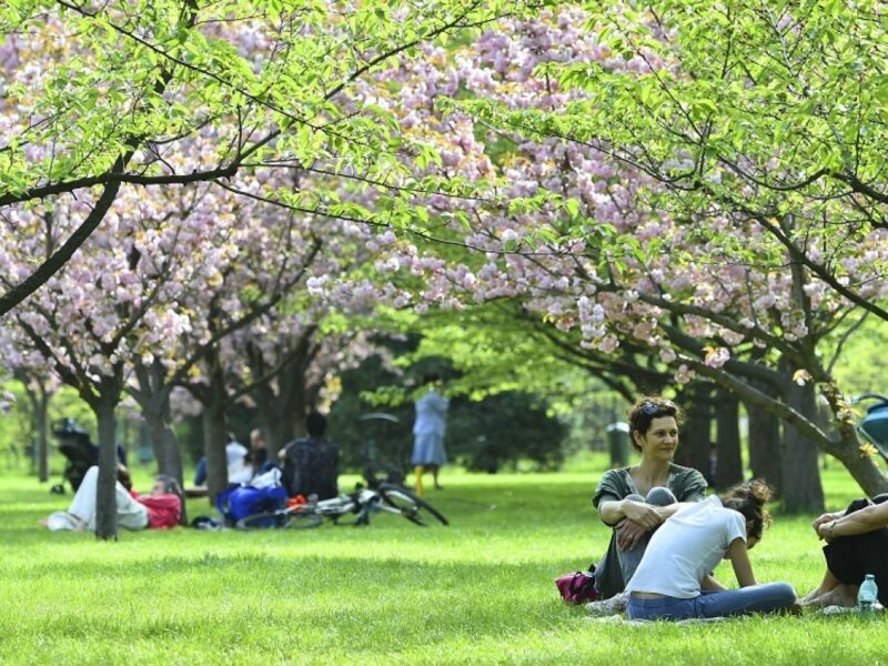 Meteorologii anunță vreme normală pentru Paște în România în 2026