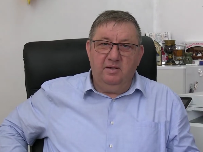 naiman marian frecatei